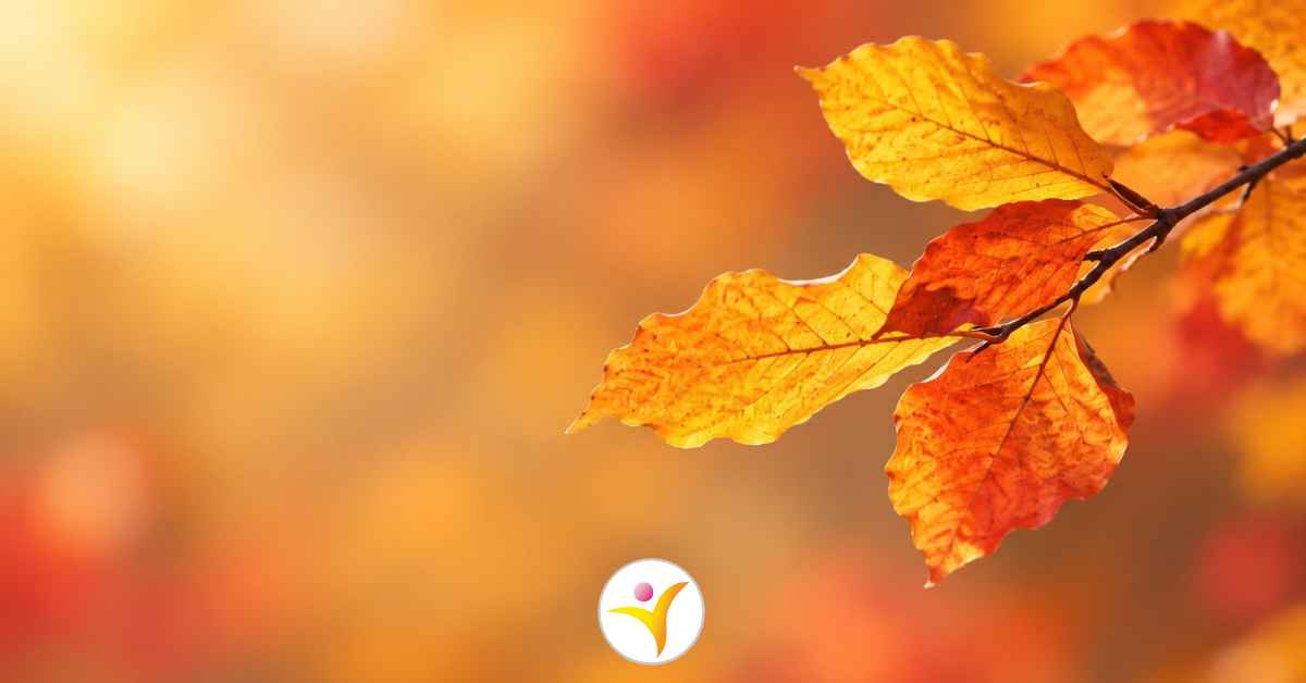 Herfstkleuren en HSP